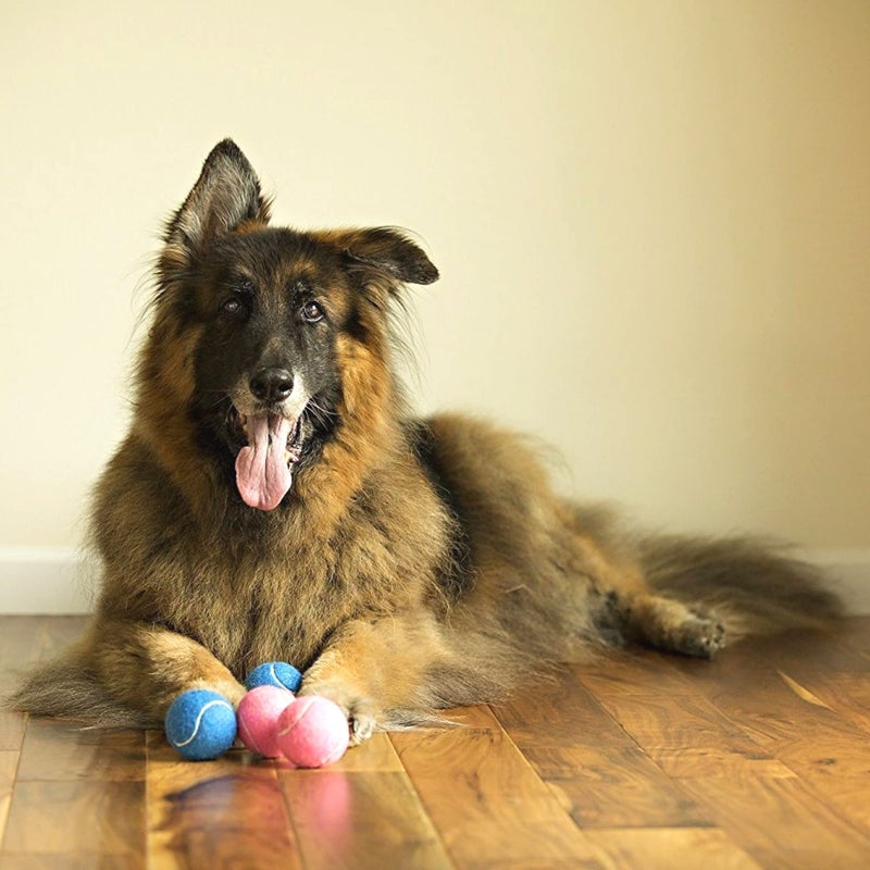 Midlee Happy Birthday Dog Tennis Balls (6 Pack) (Regular, Pink) - Image 2